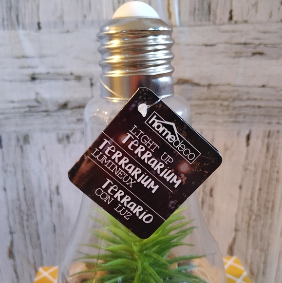 Homedeco Light Up Terrarium - Picture 3 of 5
